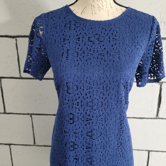 BUNDLE SALE! Ann Taylor Blue Lace Short Sleeve Sheath Dress Sz 6P - Picture 2 of 6